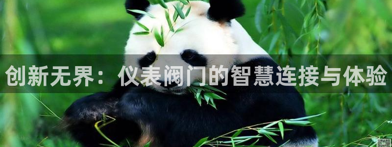 云顶国际大酒店在哪里