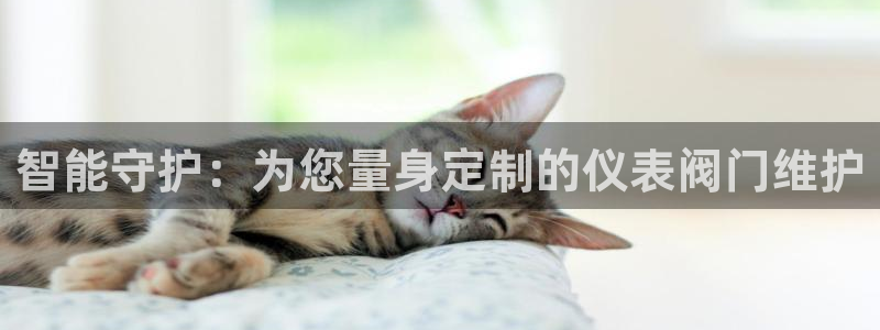 云顶集团注册送28官网