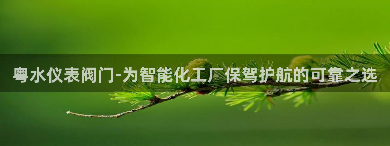 中国云顶控股集团