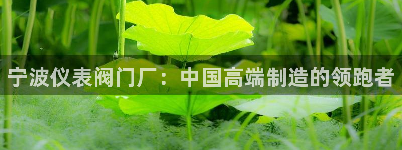 云顶国际app官方