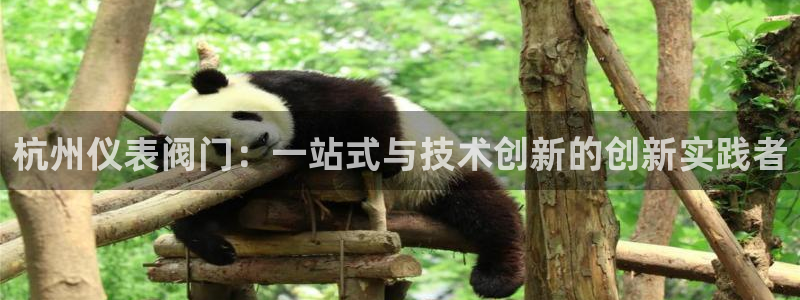 云顶国际服什么时候更新s8