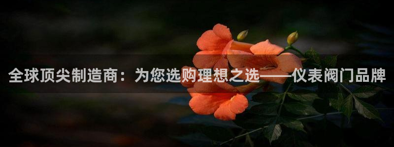 成山路800号(云顶国际商业广场a座101)电话