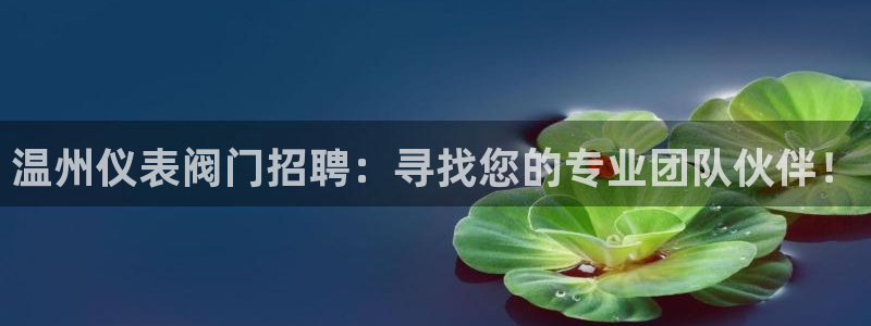 云顶国际网站合法吗