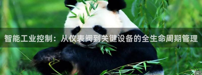 手游云顶国际服更新