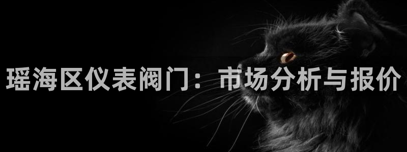 yd2333云顶电子游戏网址多少呢?