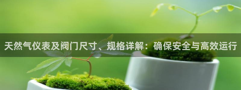 云顶国际酒店老板是谁