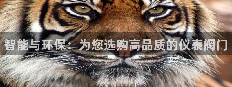 云顶集团中国分公司