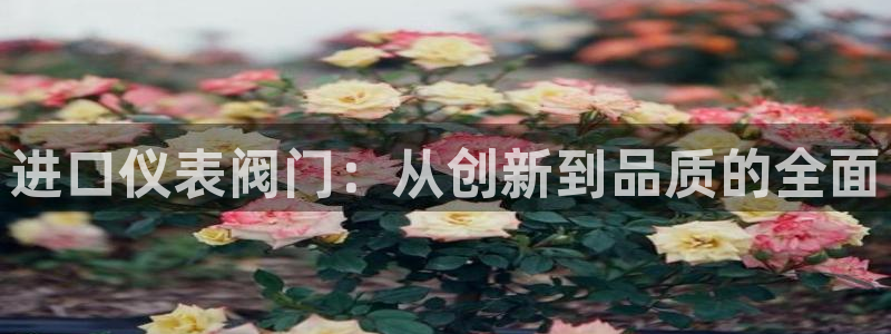 云顶国际官网官方下载