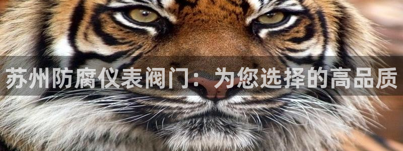 云顶28官网下载