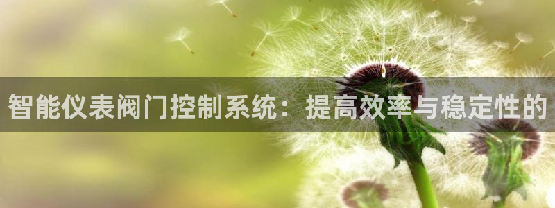 云顶国际是什么公司