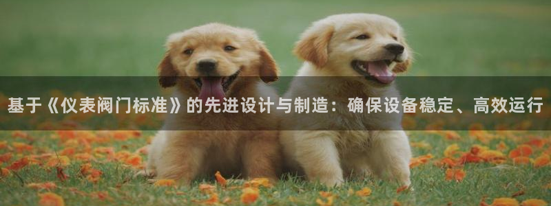 云顶国际官方网站下载手机版