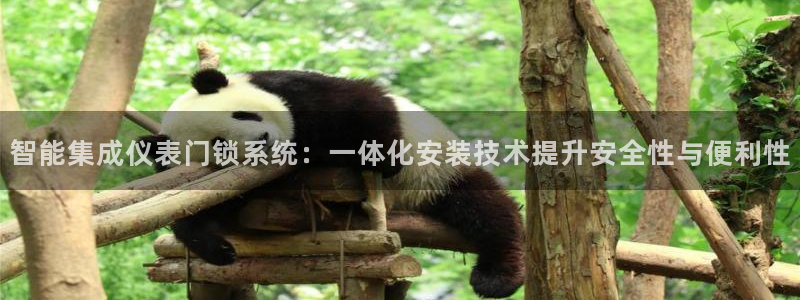 云顶国际服怎么登录