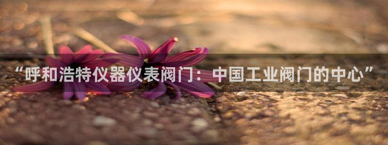 云顶国际中国官方网站下载