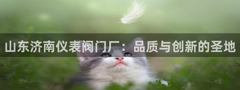 云顶国际物流电话