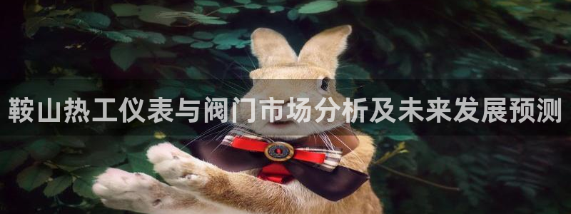 云顶国际账号怎么登录不了游戏