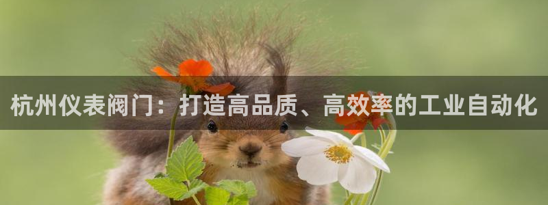 云顶国际不出款