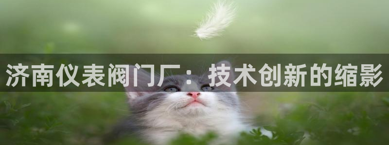 4008浏览器云顶下载