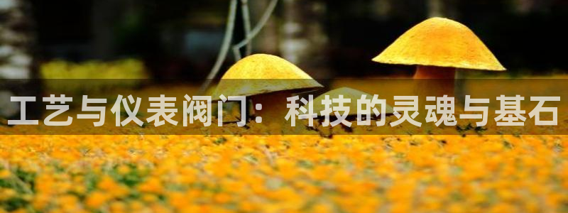 云顶国际音乐会