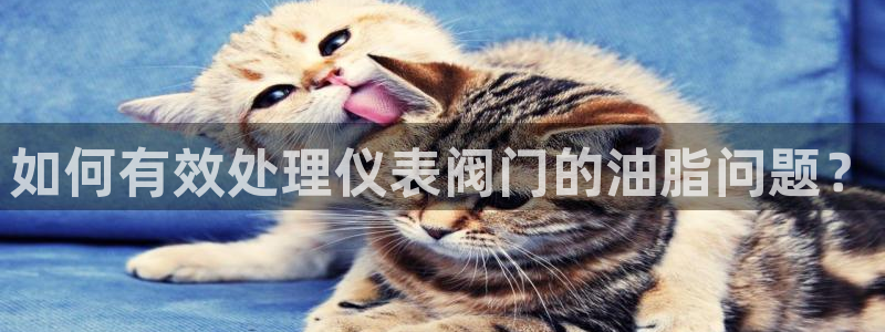 云顶集团董事长林东简历照片