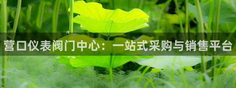 云顶集团老总是谁