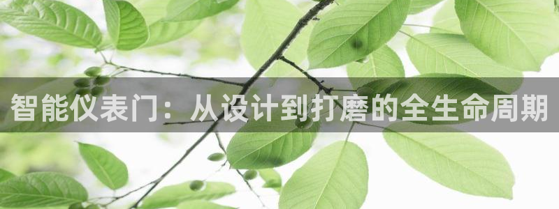 云顶国际体育官方网站下载