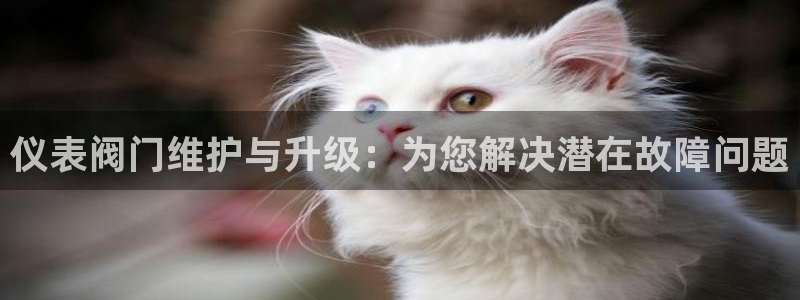 云顶集团注册送28元