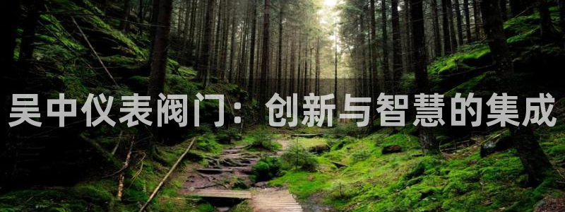 云顶国际服S9什么时候更新