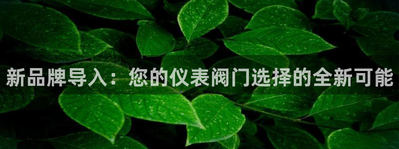 云顶电子游戏app