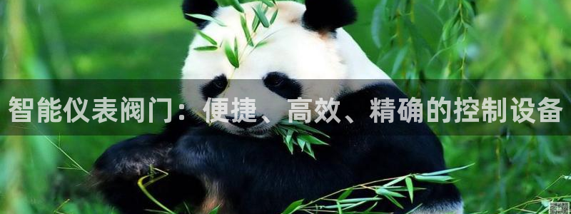 云顶国际大厦在什么地方