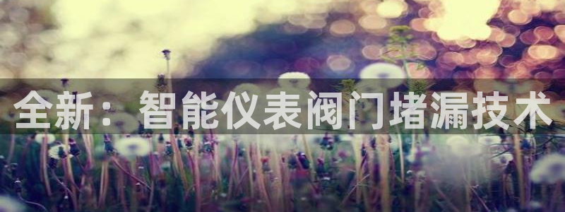 云顶国际服更新s9