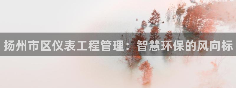 云顶国际服怎么选服务器