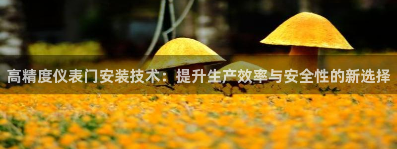 官网云顶电子游戏网站