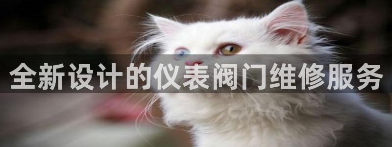 云顶集团存76送76