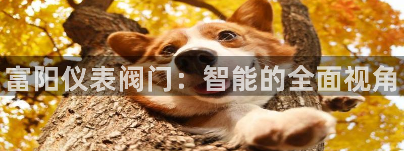 云顶集团游戏app8293