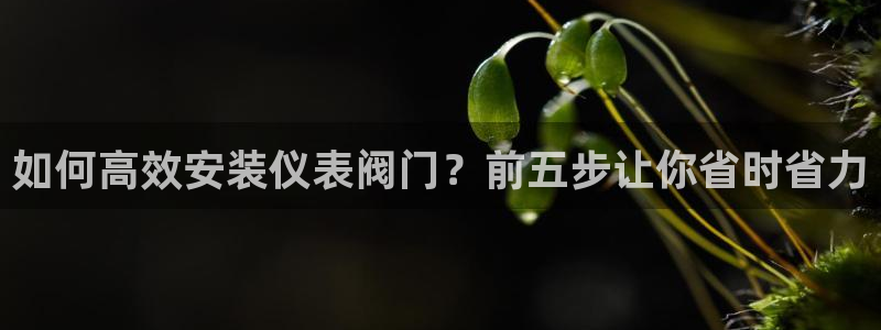 马来西亚云顶集团简介