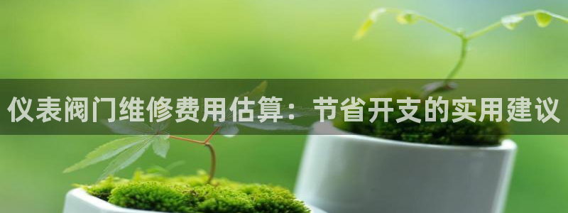 云顶国际酒店老板是谁