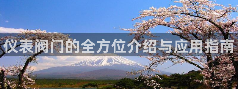 云顶国际服自定义